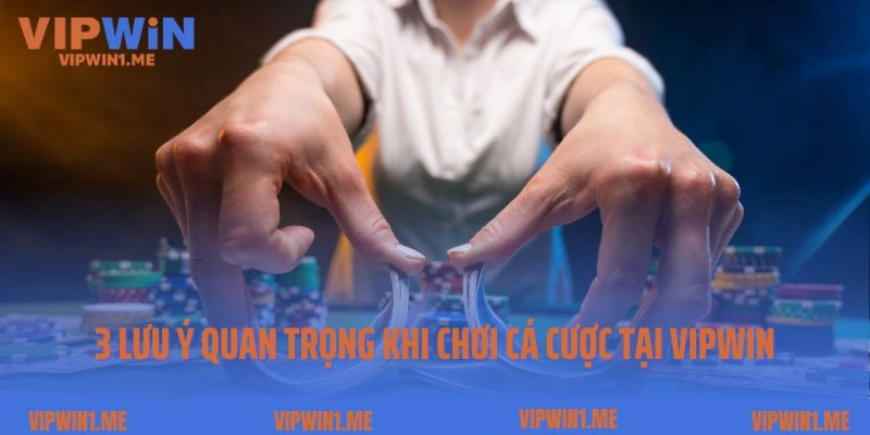 Bật mí 3 lưu ý quan trọng khi chơi cá cược tại Vipwin