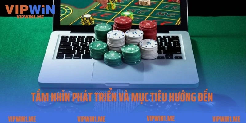 Tầm nhìn phát triển và mục tiêu hướng đến của Vipwin
