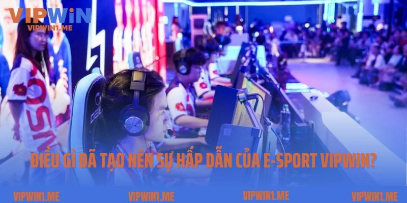 Điều gì đã tạo nên sự hấp dẫn của E-Sport Vipwin?
