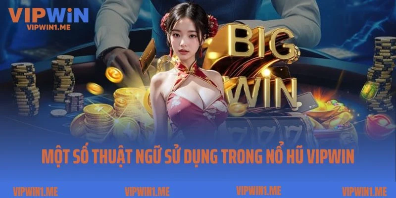 Một số thuật ngữ sử dụng trong nổ hũ Vipwin