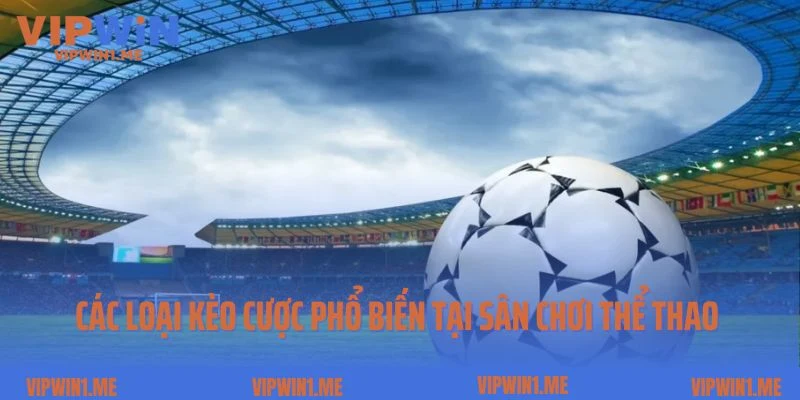 Các loại kèo cược phổ biến tại sân chơi thể thao Vipwin